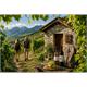 Genusswanderung - 18.06.2027