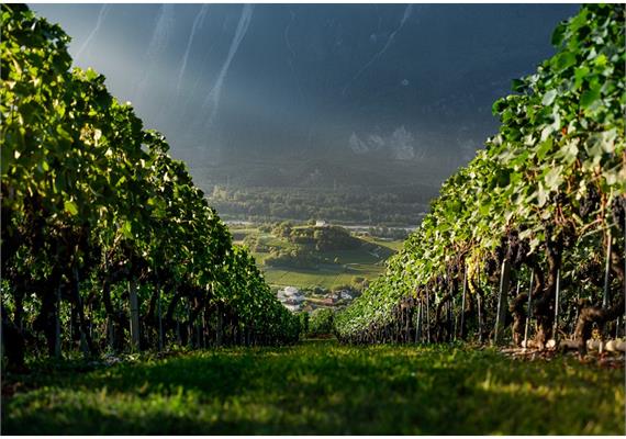 Genusswanderung - 21.05.2027