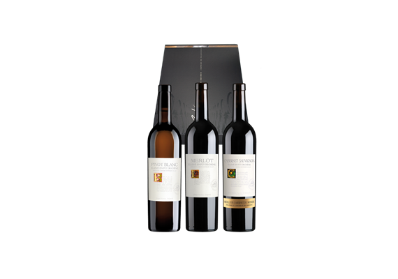 Coffret cadeau "Maître de la Vigne – La sélection magistrale" [3x75cl]